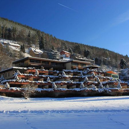 ¿Cuáles son los mejores hoteles cerca de Baumwipfelpfad Schwarzwald? Bad Wildbad Exterior foto