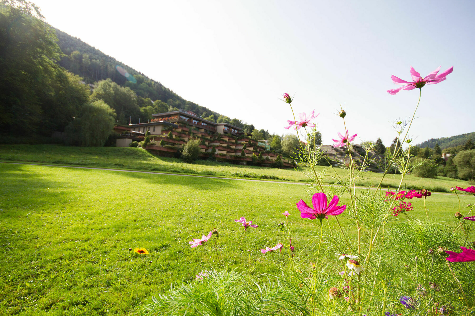 ¿Cuáles son los mejores hoteles cerca de Baumwipfelpfad Schwarzwald? Bad Wildbad Exterior foto